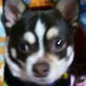 Profilbild von かど