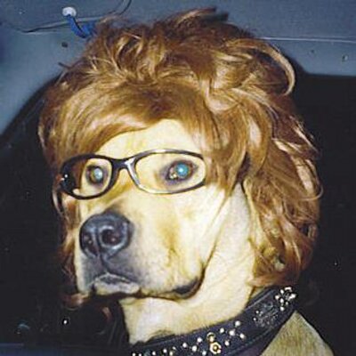 Arik's profile picture