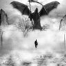 Profilbild von Steve Froehlich🦇