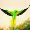 Abuhmeid profil fotoğrafı