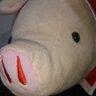 Profilbild von てしかず