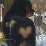 Rache♥️🕊️🥹 的头像