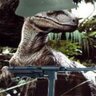 Daniel V.R.'s profile picture