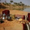 نواف الرشيدي 的头像
