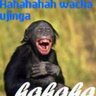 Profilbild von Kenyan
