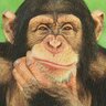 Profilbild von Happy Hermit