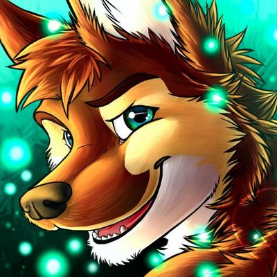 NotsocoywolfAD's profile picture