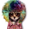 pam's profile picture