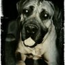Profilbild von ©Tate Sam