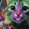 Acid Alamo's profile picture