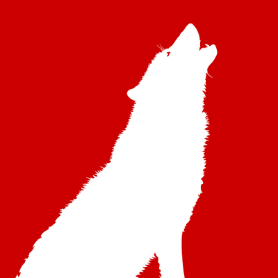 statefansnation's profile picture