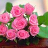 Фото профиля Noor jahan