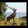 Magnus Lee's profile picture