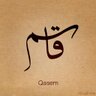 Profilbild von qassim alshawki