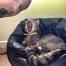 Andrew Parker's profile picture