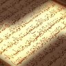 Ahmed M.Ayesh Sarkhi 的头像