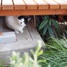 よし 的头像