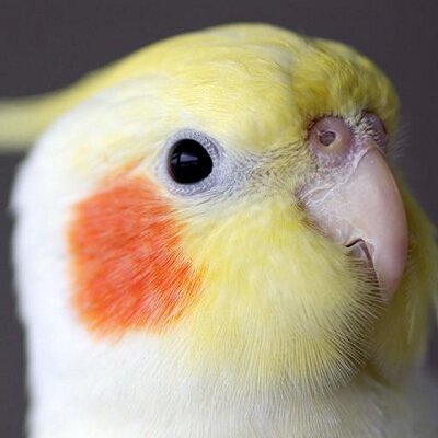tmooyy's profile picture