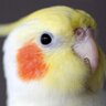 TOMOYAMASHITA's profile picture