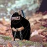 Sebastián De la Cruz's profile picture