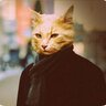 Кіт в пальто's profile picture