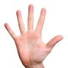 Asef Bodlox's profile picture