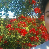Mariza Guerra profil fotoğrafı