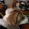 Profilbild von hiro
