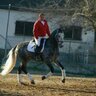 Jose Antonio Pintor's profile picture