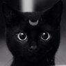 Profilbild von Debbie