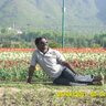 K.SURESH KUMAR's profile picture
