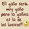 Miguel Camarero's profile picture