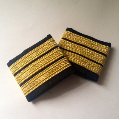 Airbus Pilot's profile picture