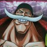 Dragon13's profile picture