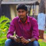 hari_official's profile picture