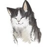 Eldar's profile picture