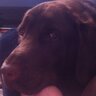 BigAl76's profile picture