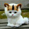 げんき おやぢ 的头像