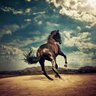 Andy Bui's profile picture