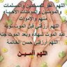 عمر الملاحي's profile picture