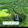 عبدالرحمن 's profile picture