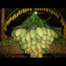 Фото профиля abunooren