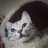 Profilbild von Junmer