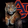 SweetonAuburn's profile picture