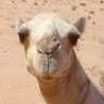 DeezNutz profil fotoğrafı