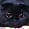 Oleg profil fotoğrafı