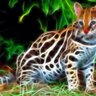 ExaltedExodian profil fotoğrafı
