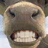 НЕМИЛОВ's profile picture