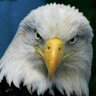 CharlieCh's profile picture