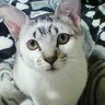 あき's profile picture
